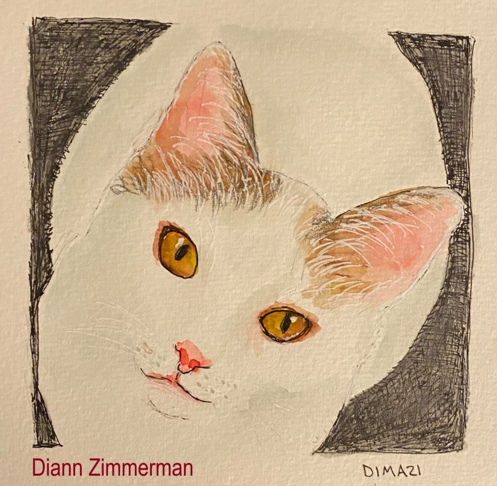 Diann Zimmerman