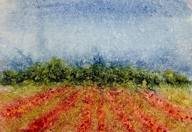 Summer Field Stroll” watercolor on 4x6” 320GSM 100% cotton handmade khadi  paper. : r/Watercolor