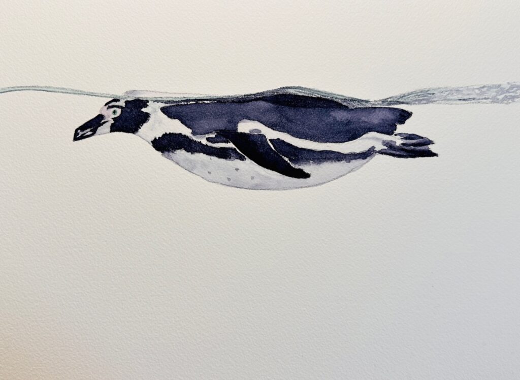 Penguin floating - Final painting