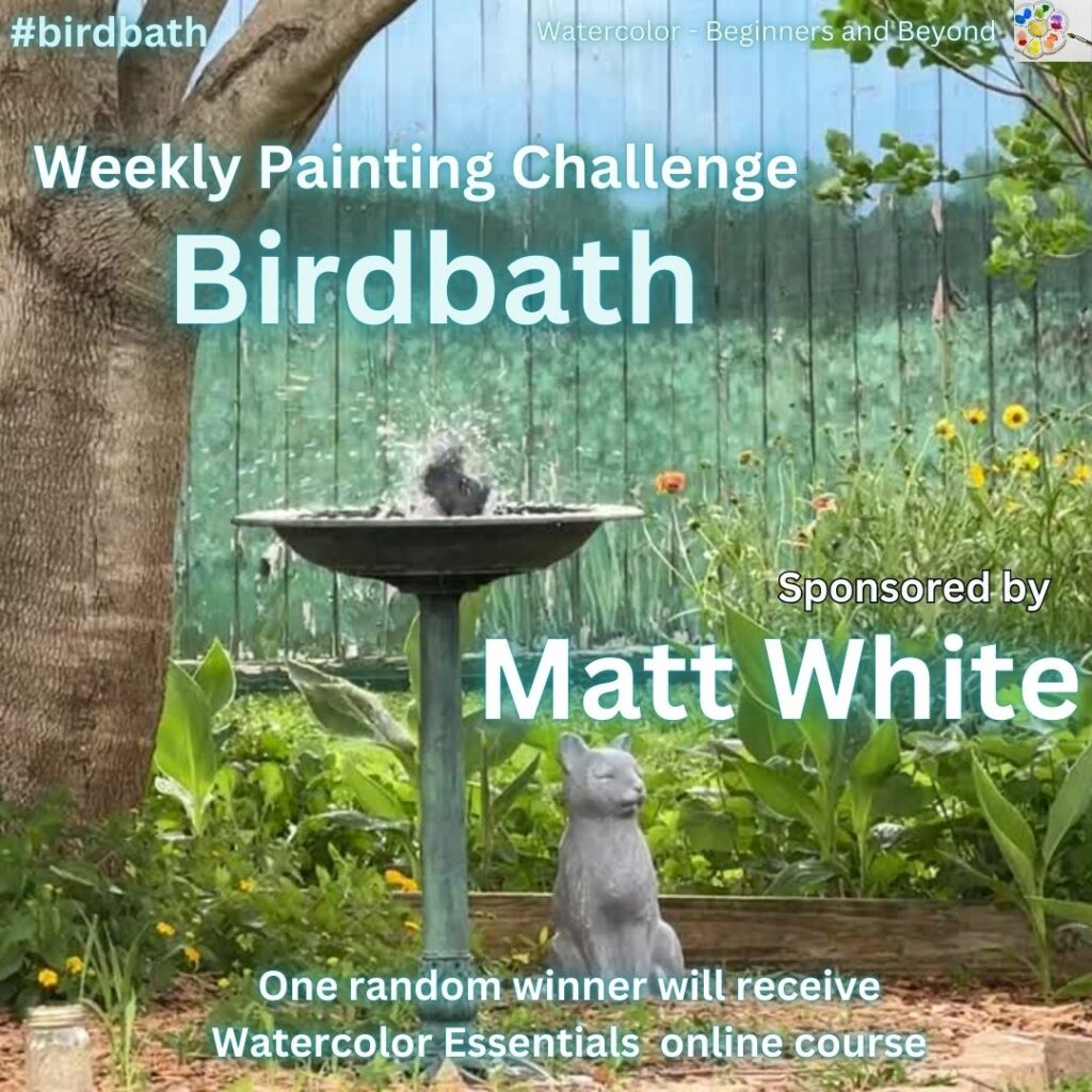 2024-09-13 Birdbath - Matt White (watercolor essentials course)