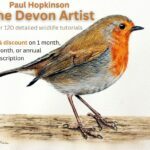 The Devon Artist (2)