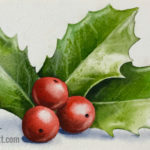holly berries2