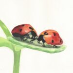 ladybugs